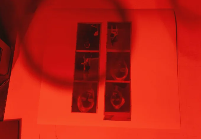 Print Review Nights